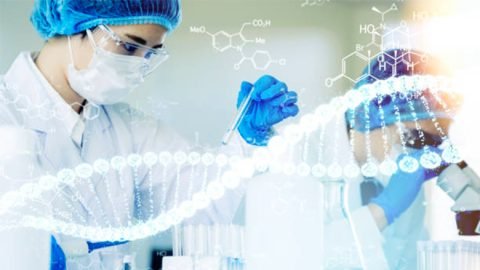 Regenerative Medicine Tissue Engineering